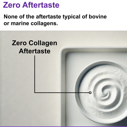 Pure C8 Collagen Creamer